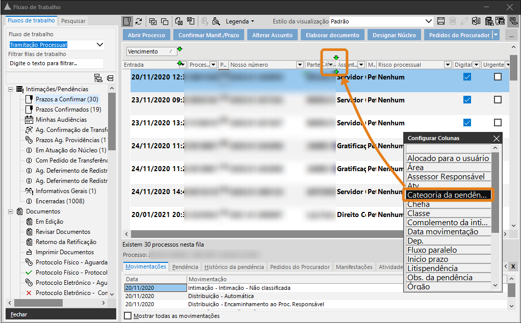04_coluna_categoria_da_pendencia.png